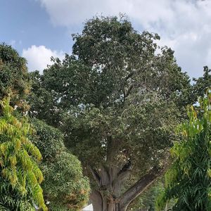 Meet your Posher, Adeline